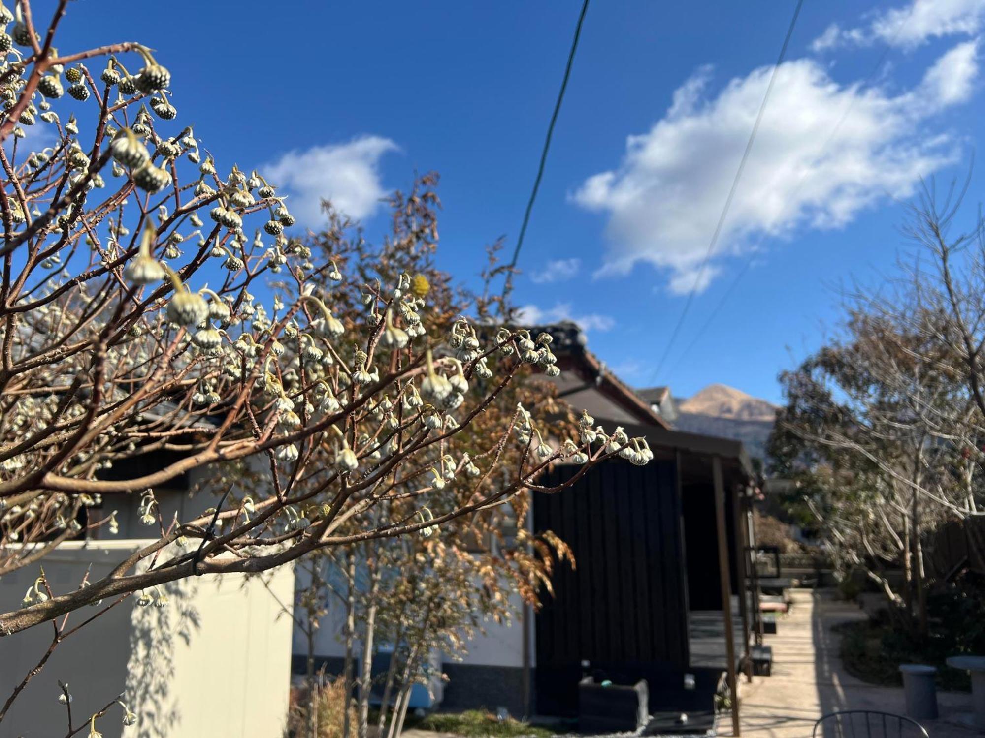 Hotel Assi House Yufu Exterior foto
